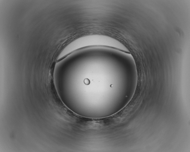 X0000113180320200909041348