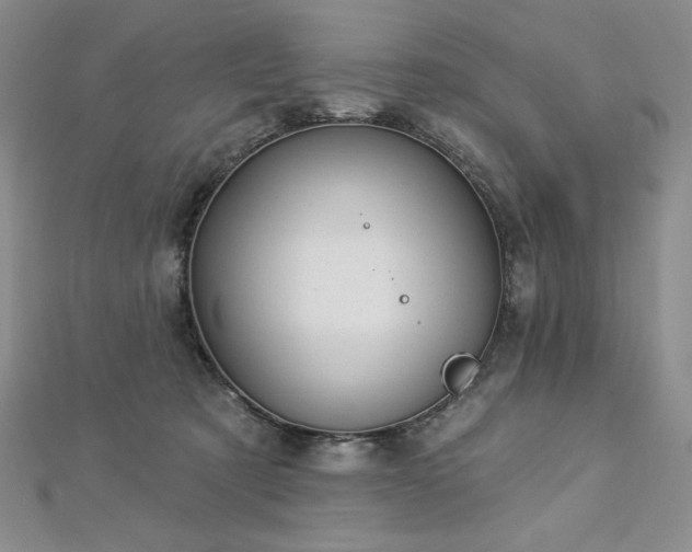 X0000113180321200909041348