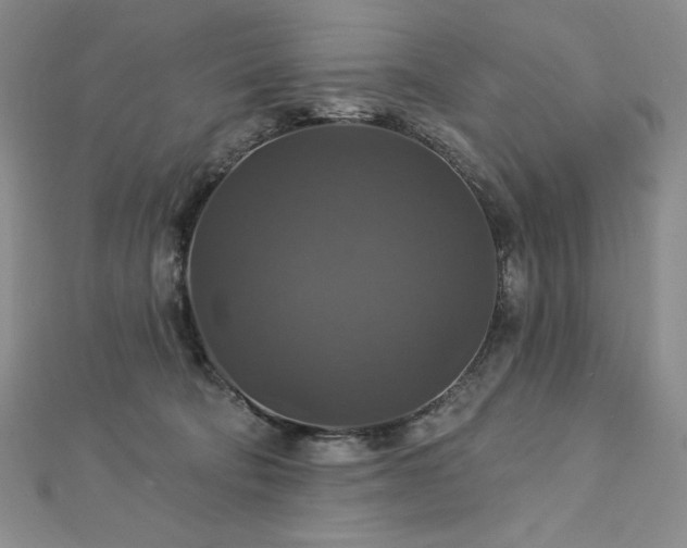 X0000113180322200909041348