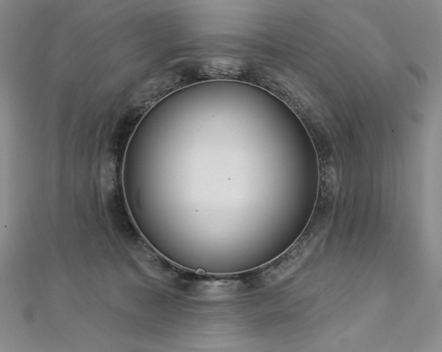 X0000113180323200909041348