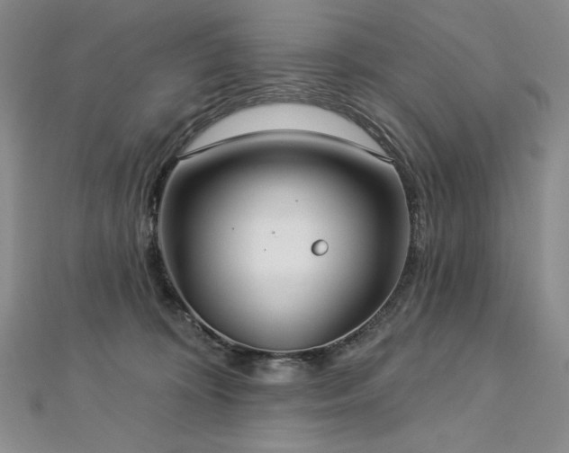 X0000113180324200909041348