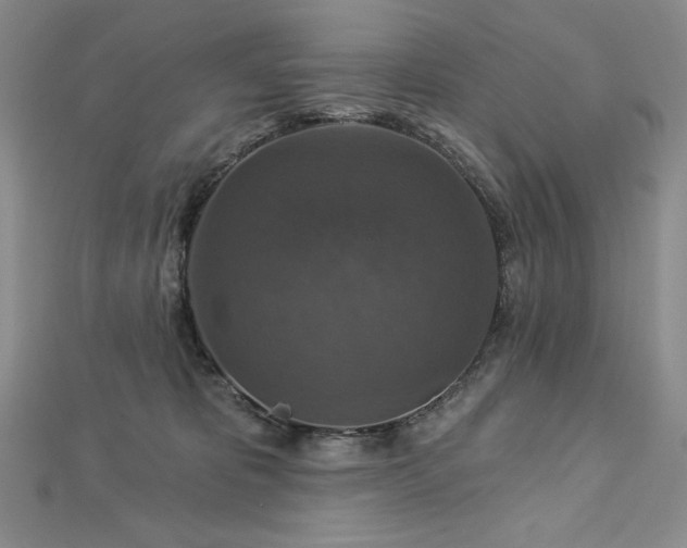 X0000113180325200909041348