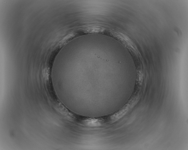 X0000113180326200909041348