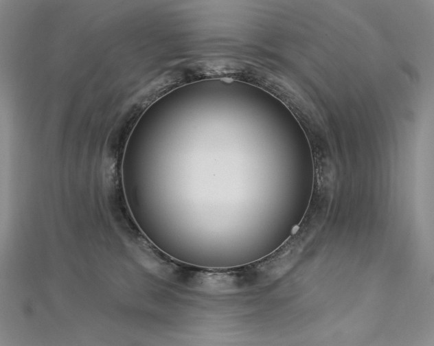 X0000113180327200909041348