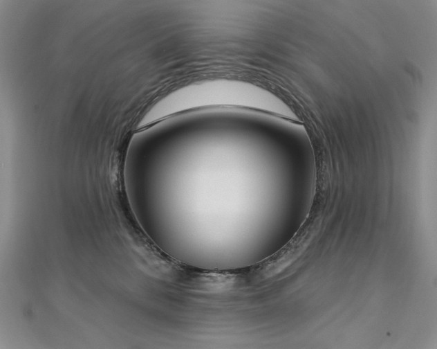 X0000113180328200909041348