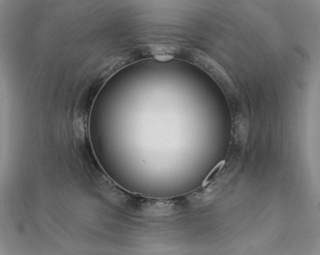 X0000113180329200909041348