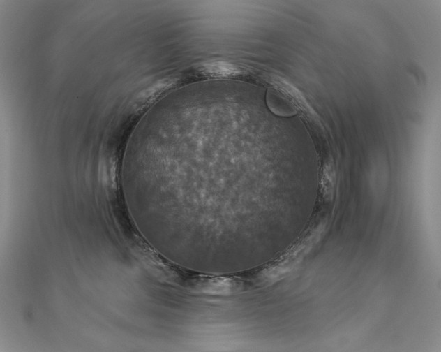 X0000113180330200909041348
