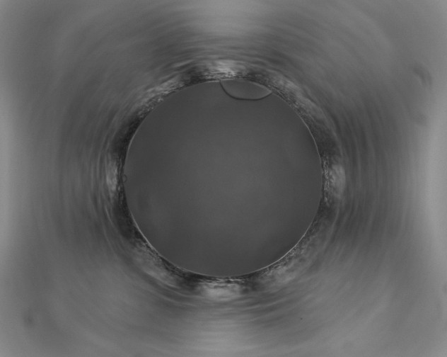 X0000113180331200909041348
