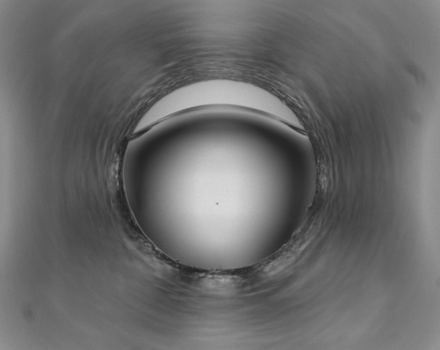 X0000113180332200909041348