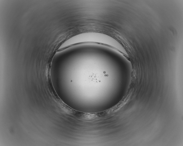 X0000113180333200909041348