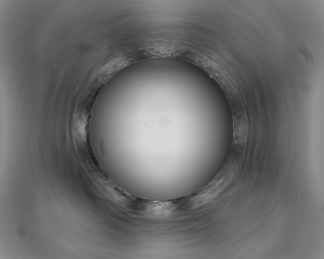 X0000113180334200909041348