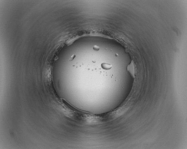 X0000113180336200909041348