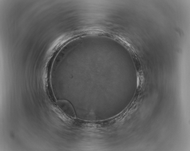 X0000113180339200909041348