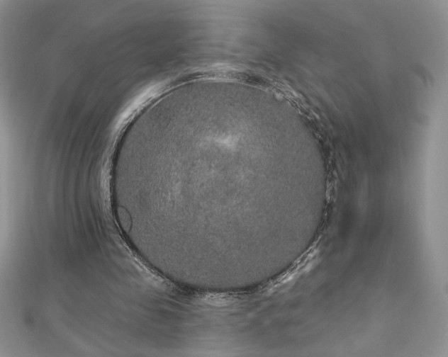 X0000113180341200909041348