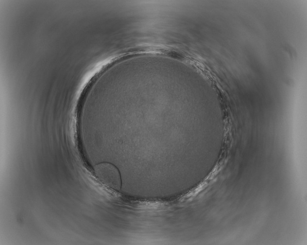 X0000113180342200909041348