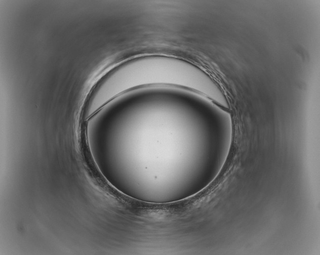 X0000113180344200909041348