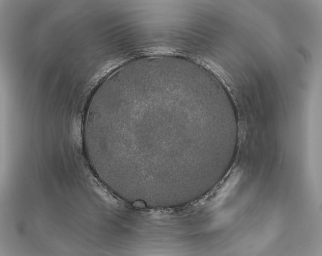 X0000113180345200909041348