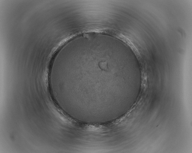 X0000113180346200909041348