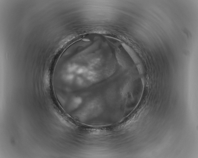 X0000113180347200909041348