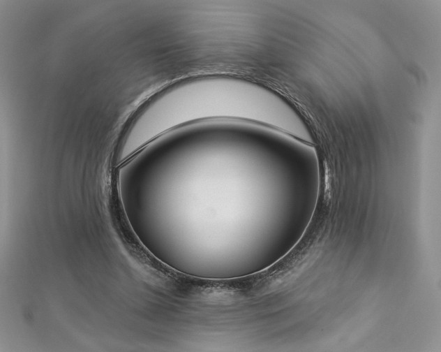 X0000113180348200909041348