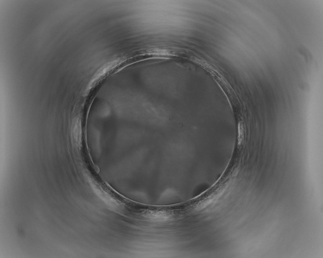 X0000113180349200909041348