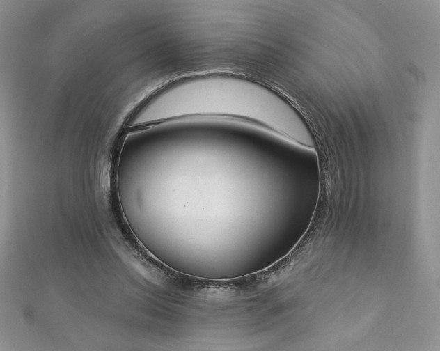 X0000113180350200909041348