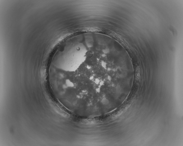 X0000113180351200909041348