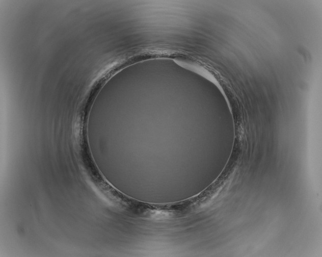 X0000113180352200909041348
