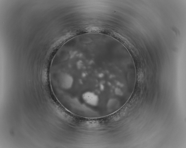 X0000113180353200909041348