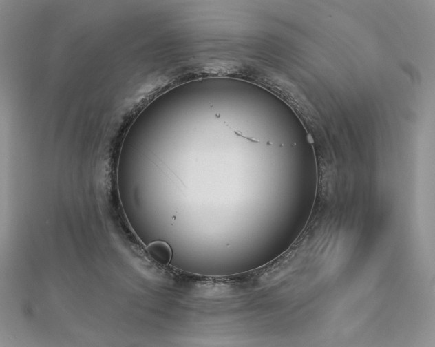 X0000113180354200909041348