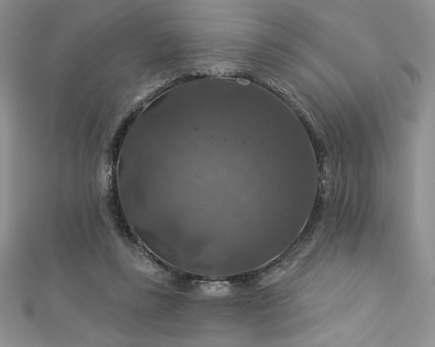 X0000113180355200909041348