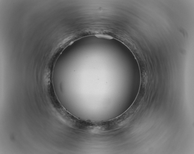X0000113180356200909041348