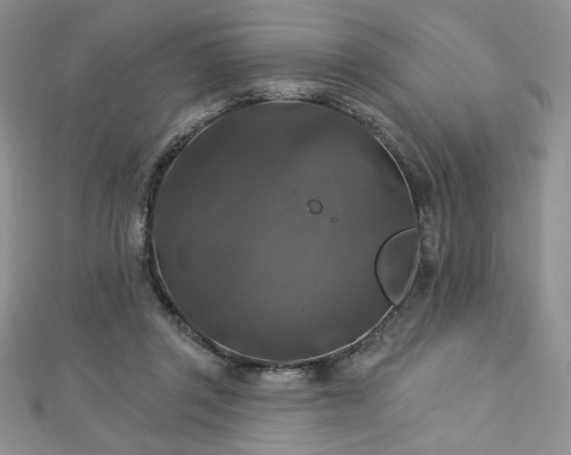X0000113180357200909041348