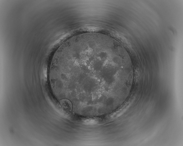 X0000113180358200909041348