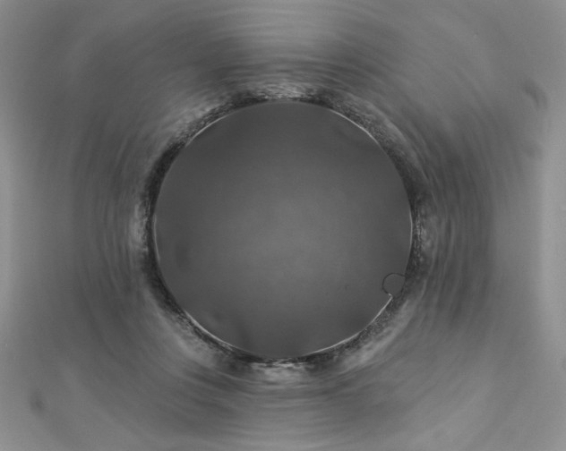 X0000113180359200909041348