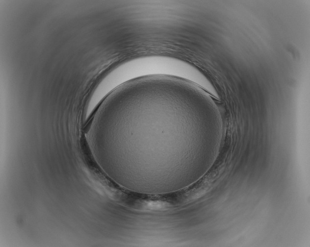 X0000113180360200909041348