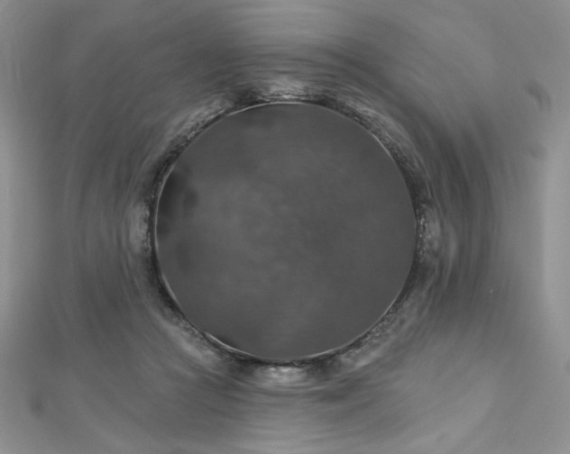 X0000113180361200909041348