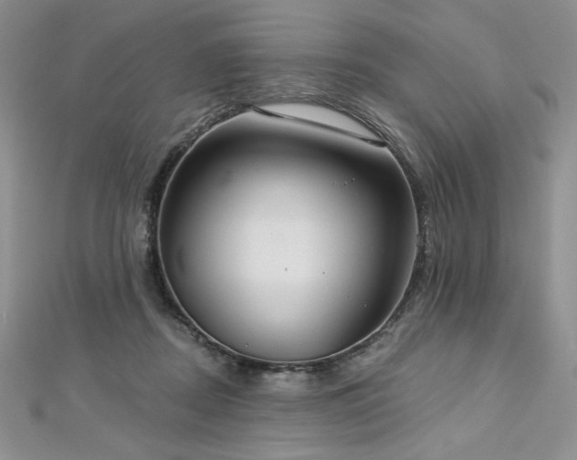 X0000113180362200909041348