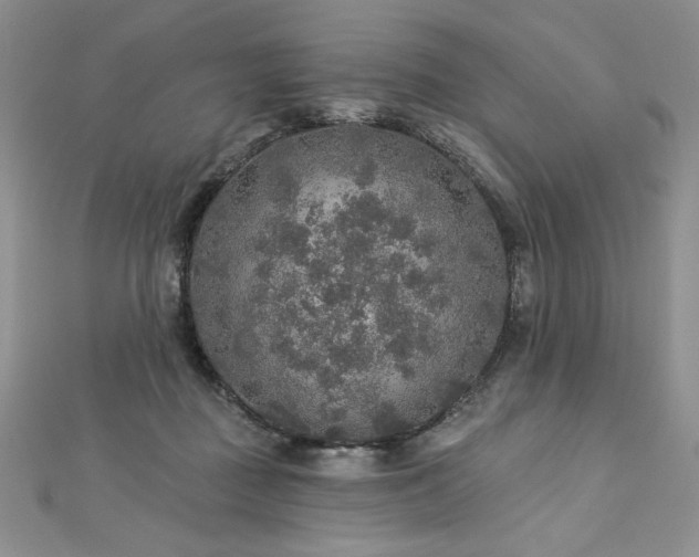 X0000113180363200909041348