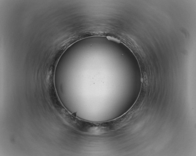 X0000113180364200909041348