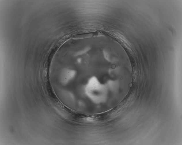 X0000113180365200909041348