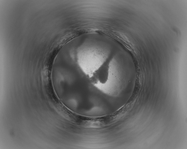 X0000113180366200909041348