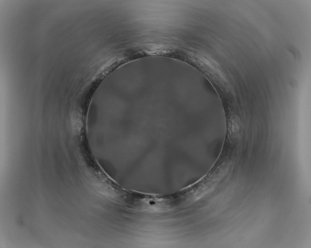 X0000113180367200909041348