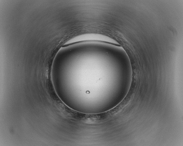 X0000113180368200909041348
