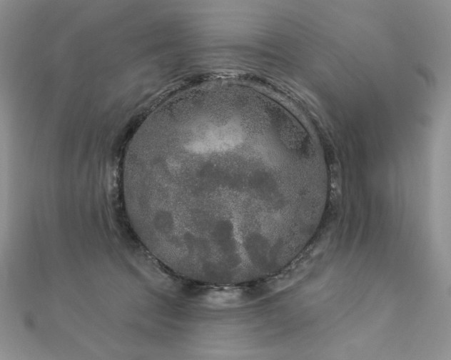 X0000113180369200909041348