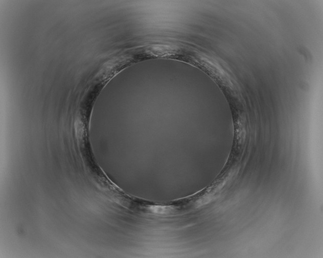 X0000113180371200909041348
