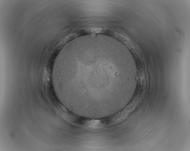 X0000113180374200909041348