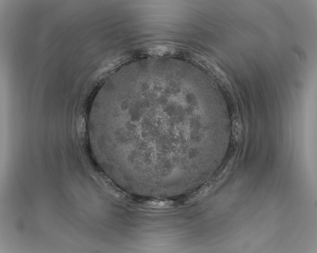 X0000113180375200909041348