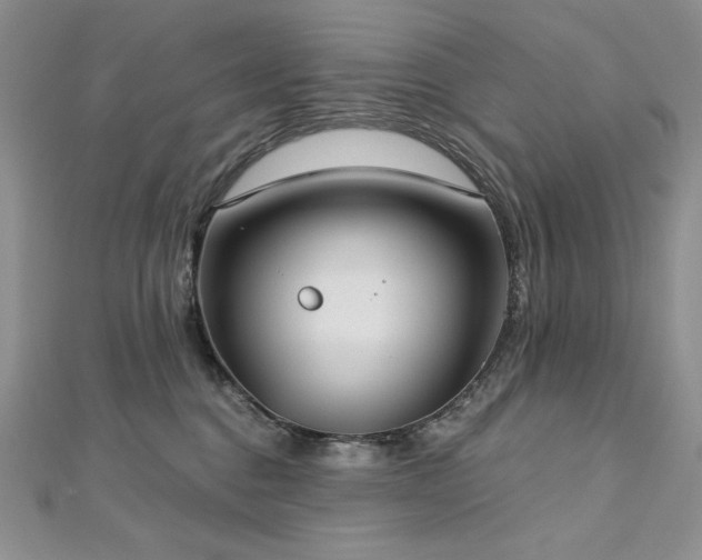 X0000113180376200909041348