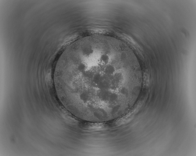 X0000113180377200909041348